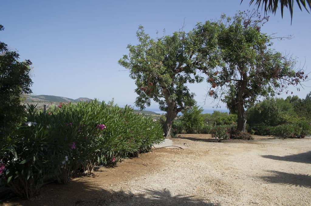 Akamas Edge Villas Polis Pokój zdjęcie